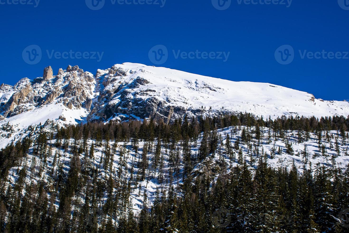 picos nevados e pinheiros com céu azul foto