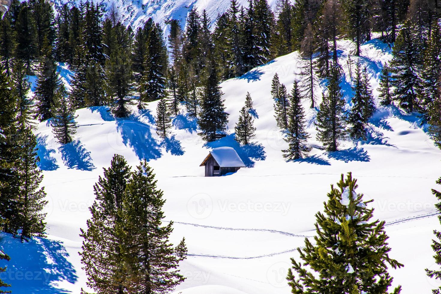 velha cabana na neve foto