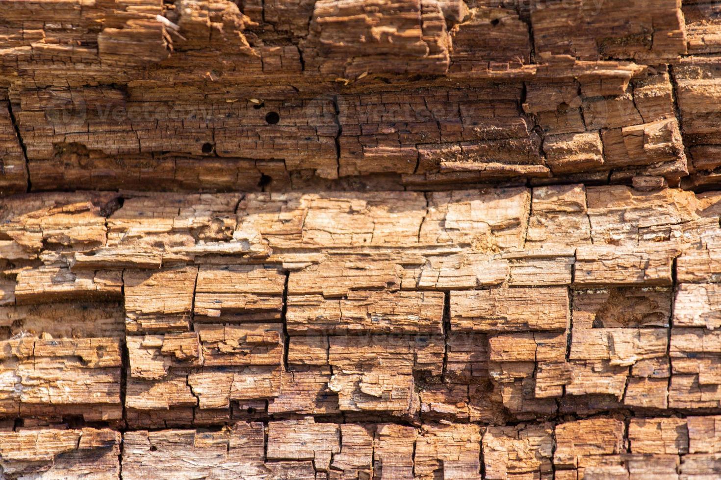 textura de madeira velha marrom foto