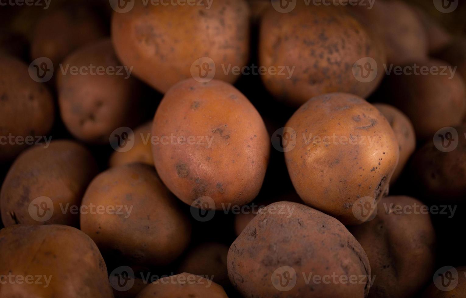 close-up abstrato com textura de fundo de batatas frescas foto