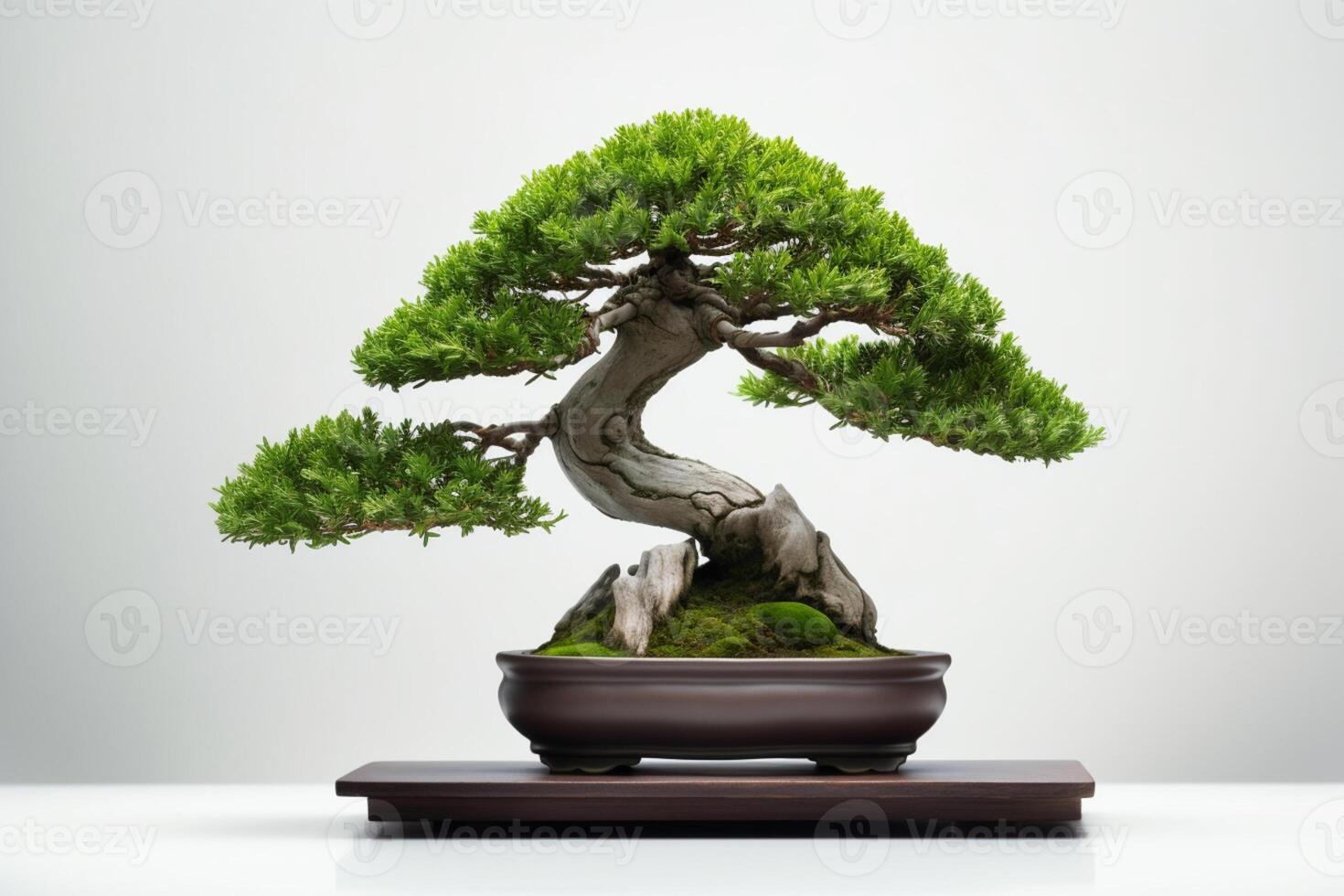 lindo caro bonsai árvore em branco fundo. generativo ai foto