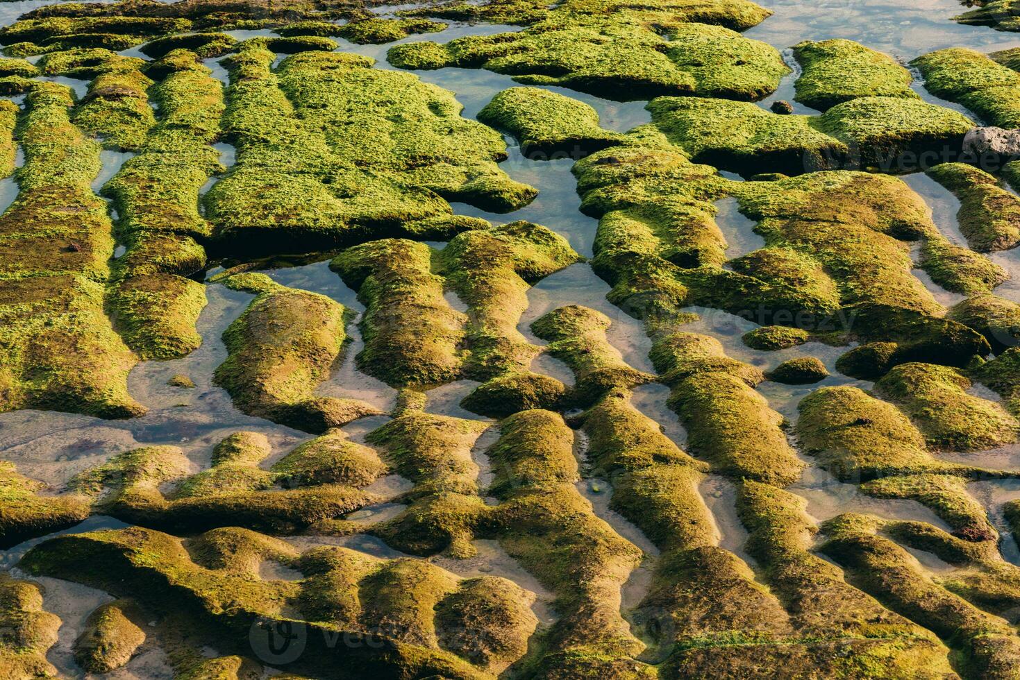 verde musgo em água textura em de praia foto