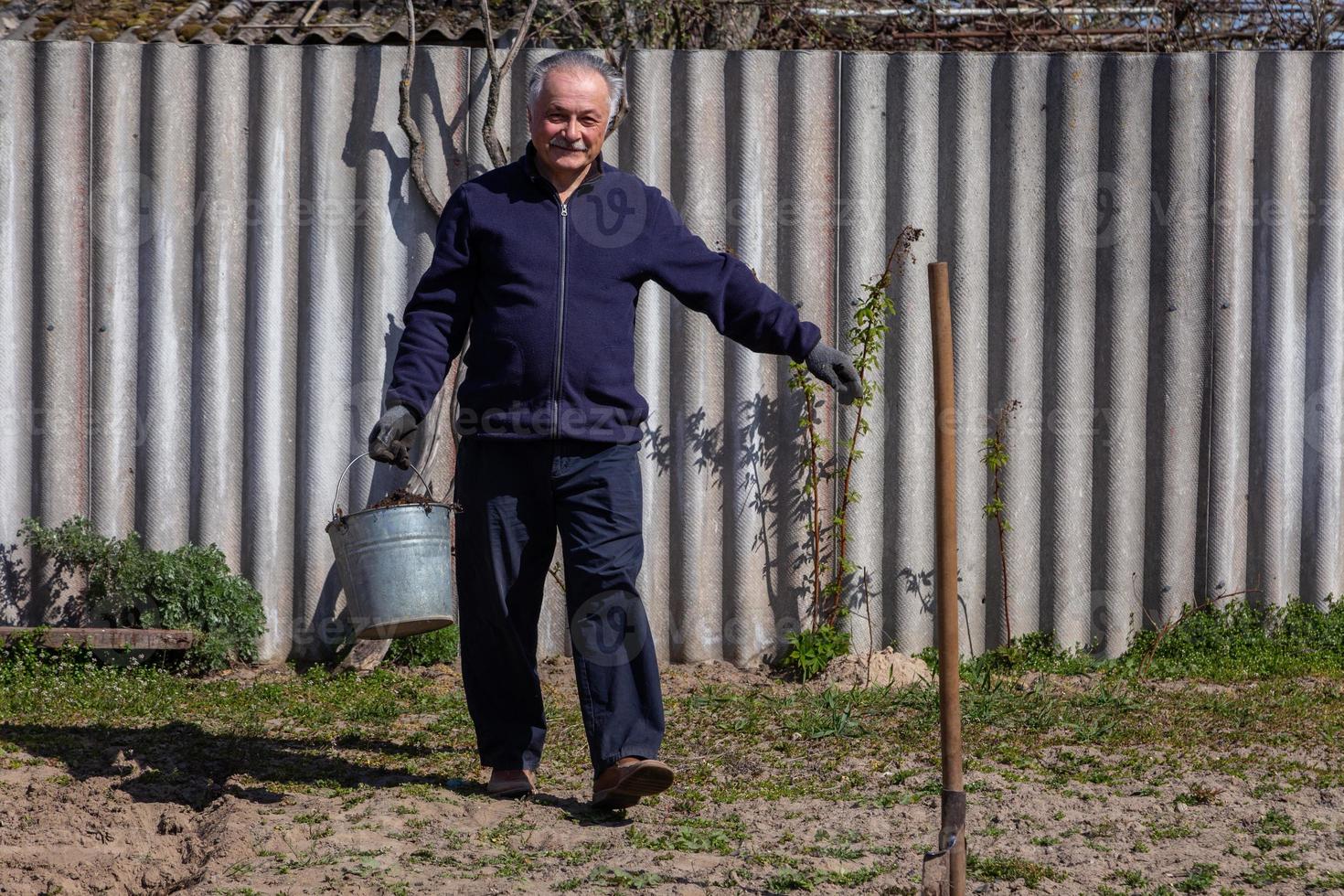 agricultor adulto com um balde carrega batatas no jardim foto