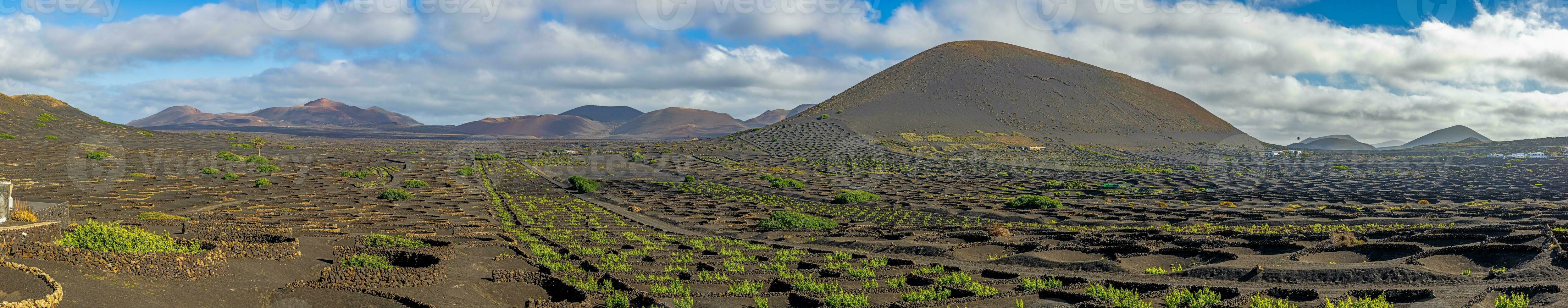 panorâmico Visão sobre estéril vulcânico timanfaya nacional parque em Lanzarote com videiras foto