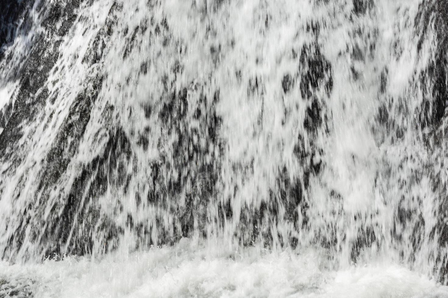 floresta de cachoeira sarika foto