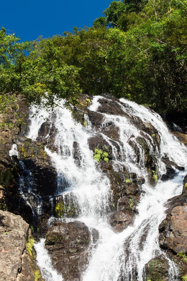 floresta de cachoeira sarika foto