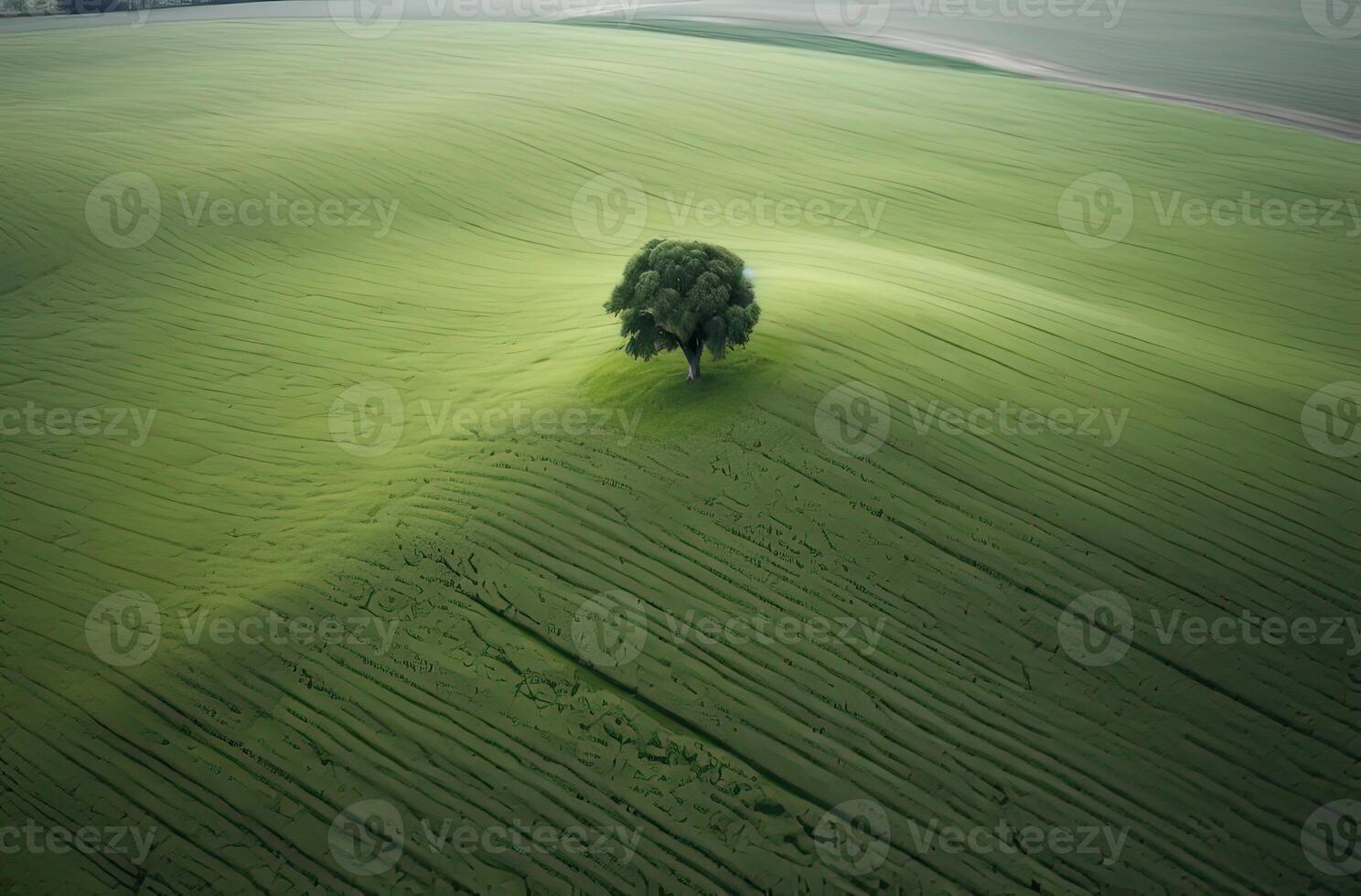 solteiro ameixa árvore dentro a meio do uma gramíneo campo. sozinho árvore dentro a meio do uma verde campo. generativo ai. foto