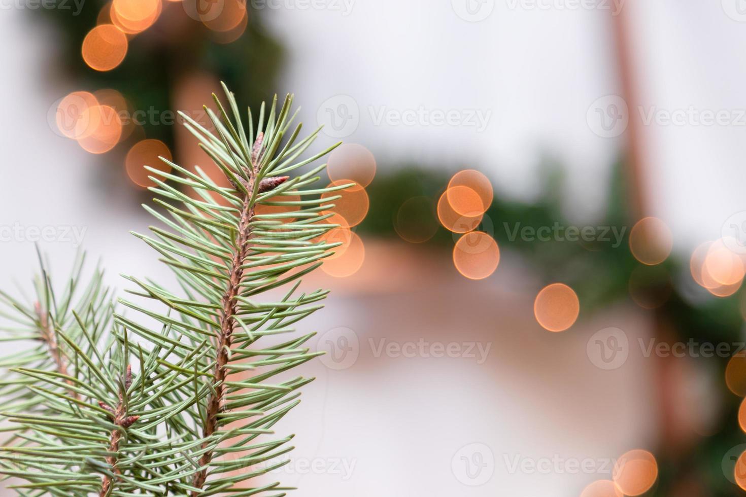 close-up da árvore de natal com luz no fundo foto