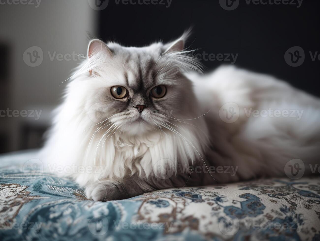 a persa gatos placidez dentro uma pelúcia travesseiro foto