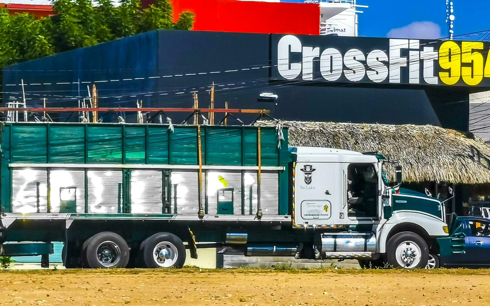 porto escondido Oaxaca México 2023 mexicano caminhão caminhões carga transportador Entrega carros porto escondido México. foto