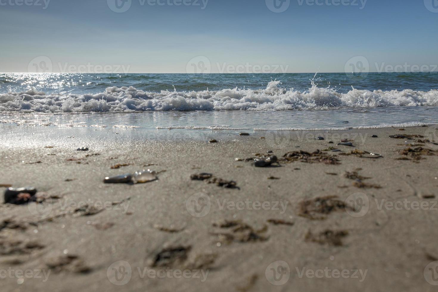 surfe na praia com luz de fundo com ondas, conchas de areia e águas-vivas foto