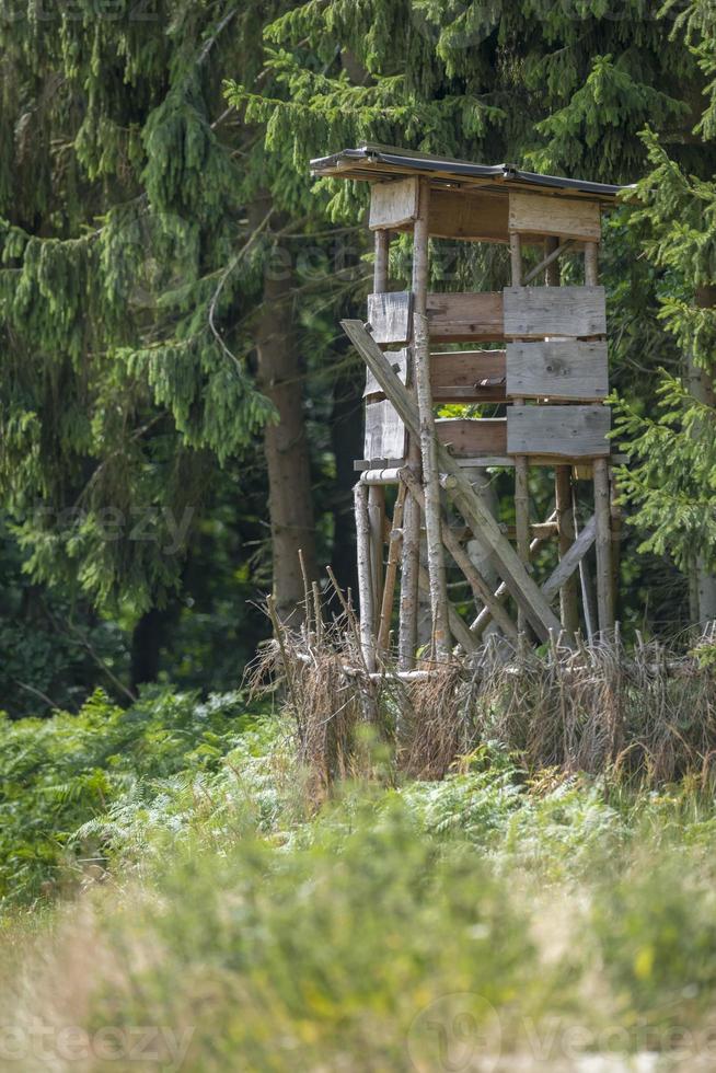 assento alto de caçador à beira da floresta em frente a um prado com fundo verde foto