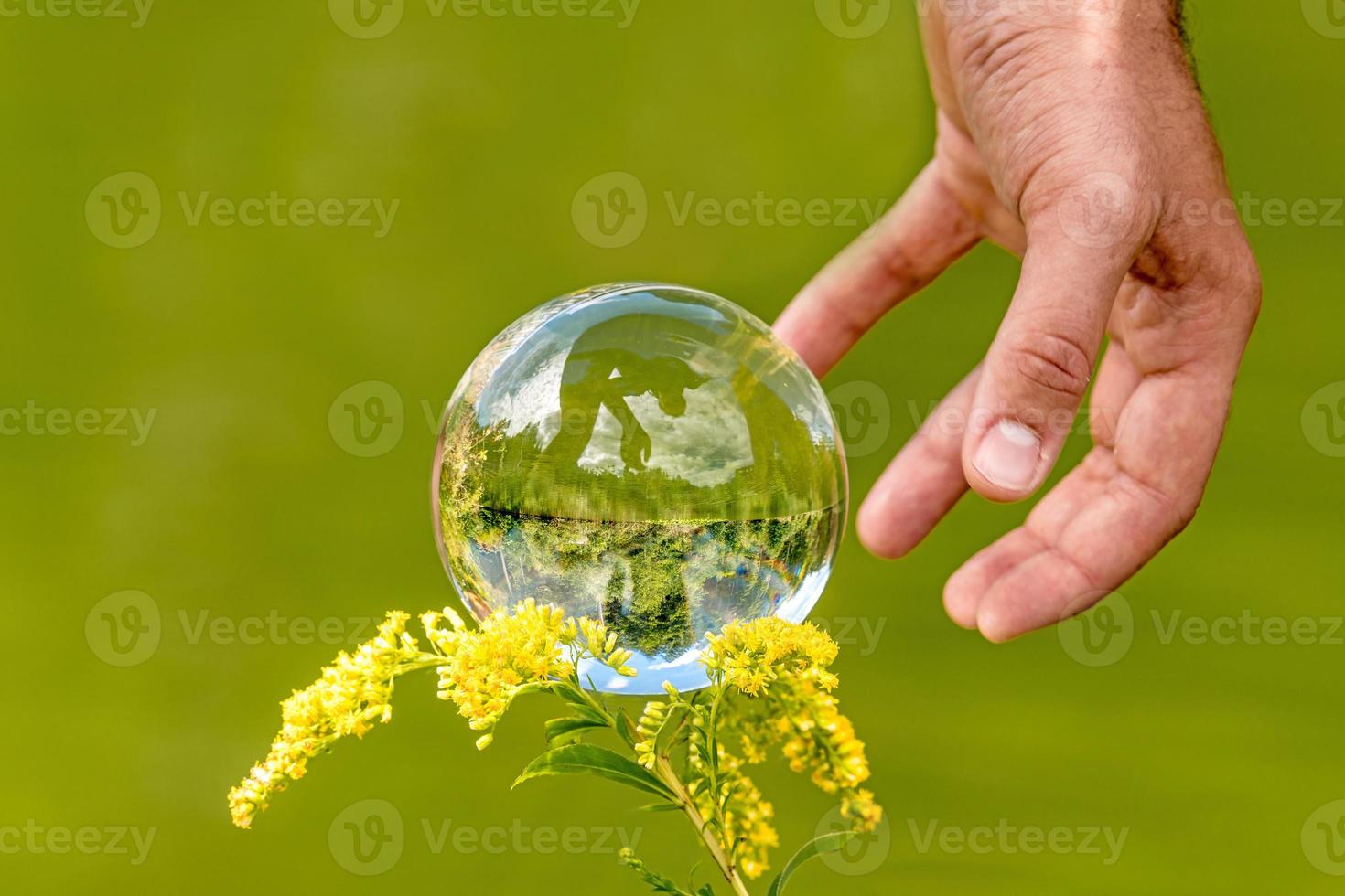 A mão de um homem alcança um globo de vidro com árvores de lago espelhadas e o céu contra um fundo verde foto