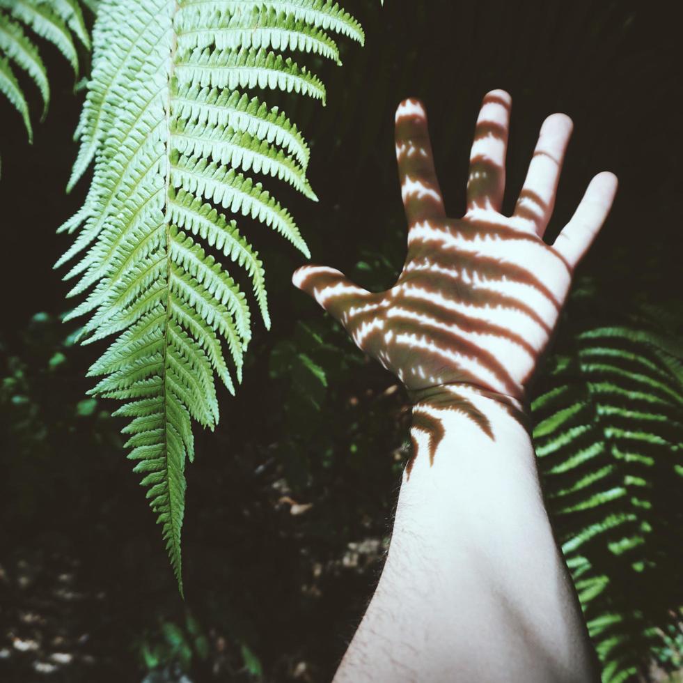 mão gesticulando nas sombras foto