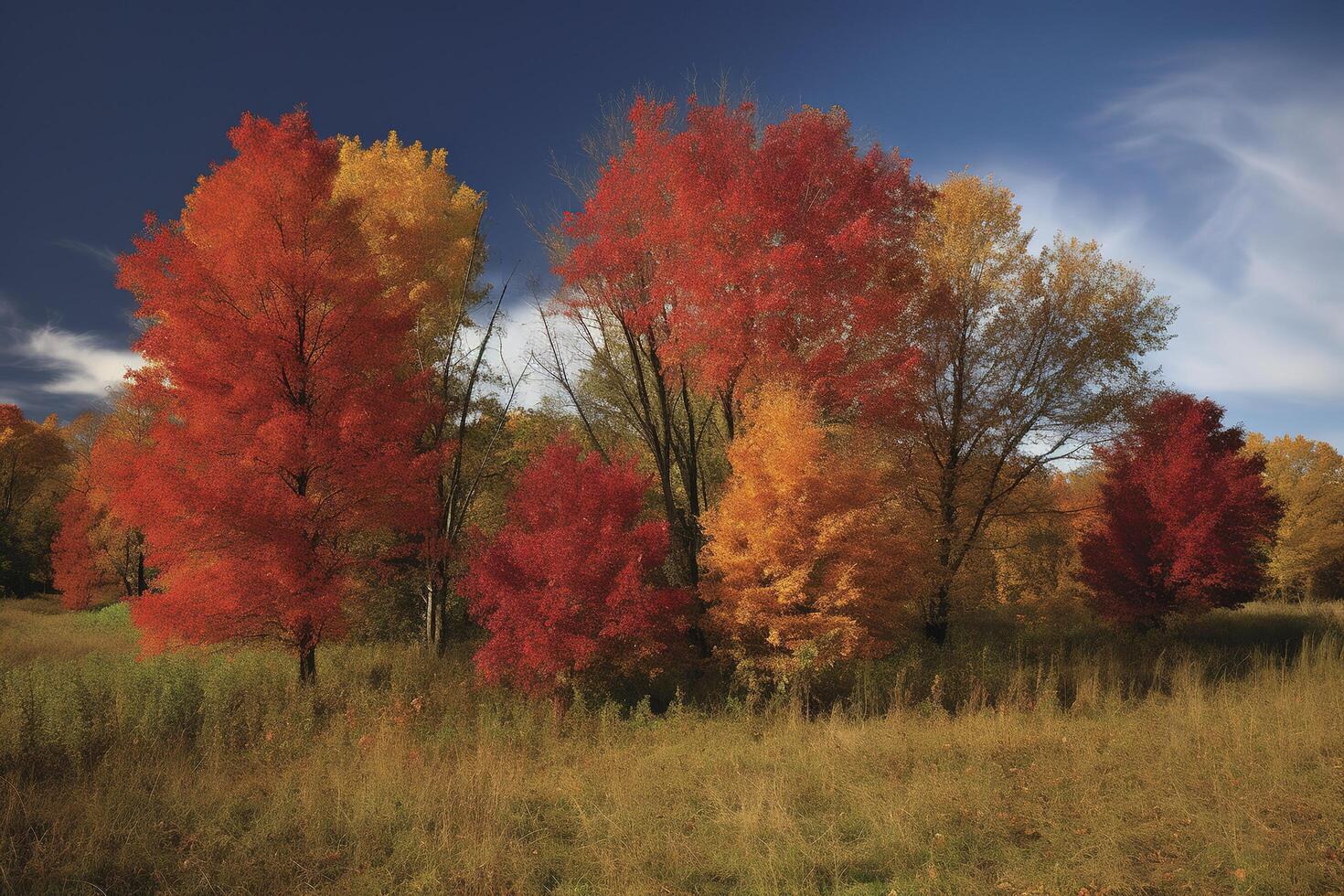 uma pintura do uma floresta com árvores e folhas dentro a primeiro plano e a Sol brilhando através a árvores em a longe lado do a cenário. generativo ai foto