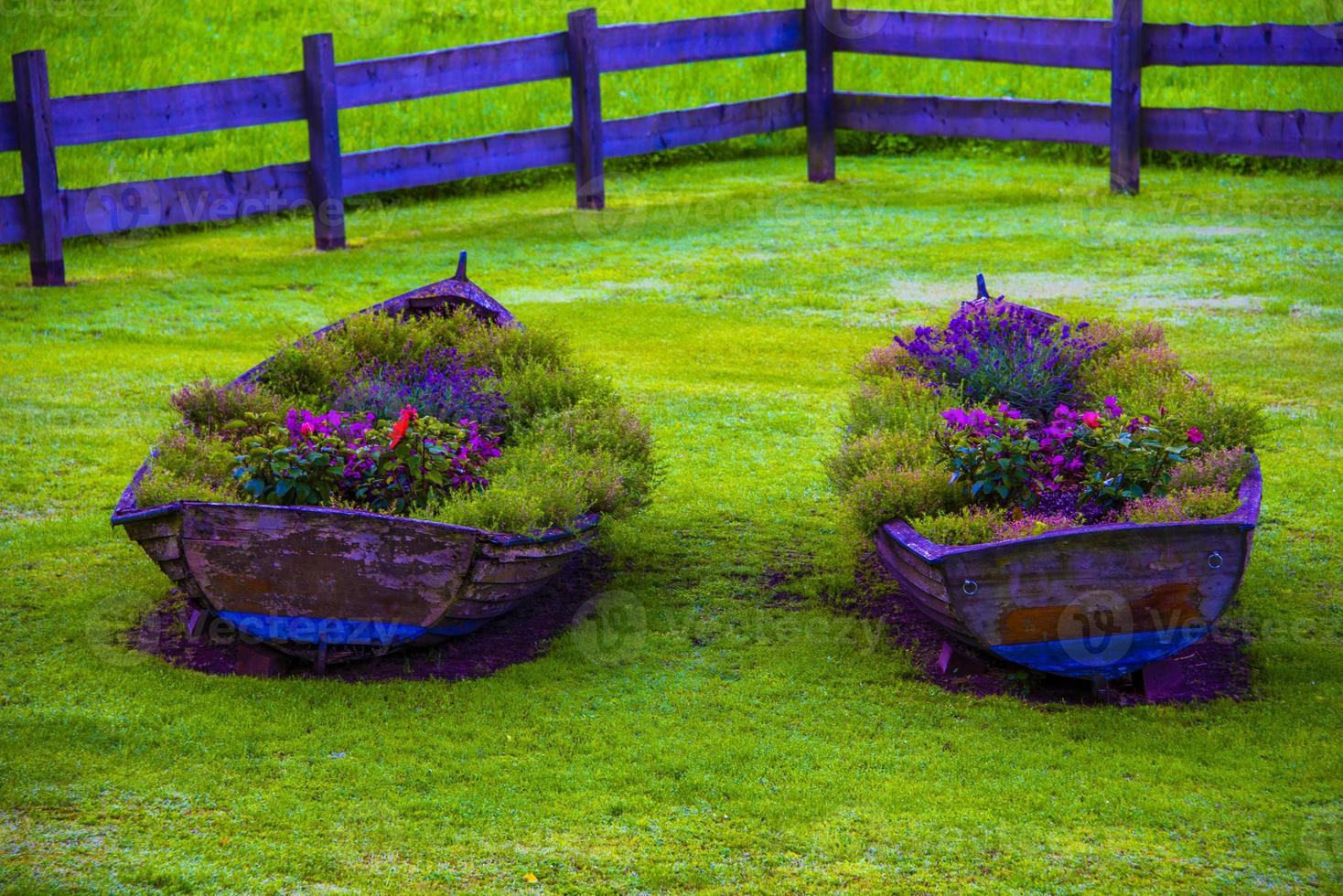 dois velhos barcos de madeira usados como plantadores foto