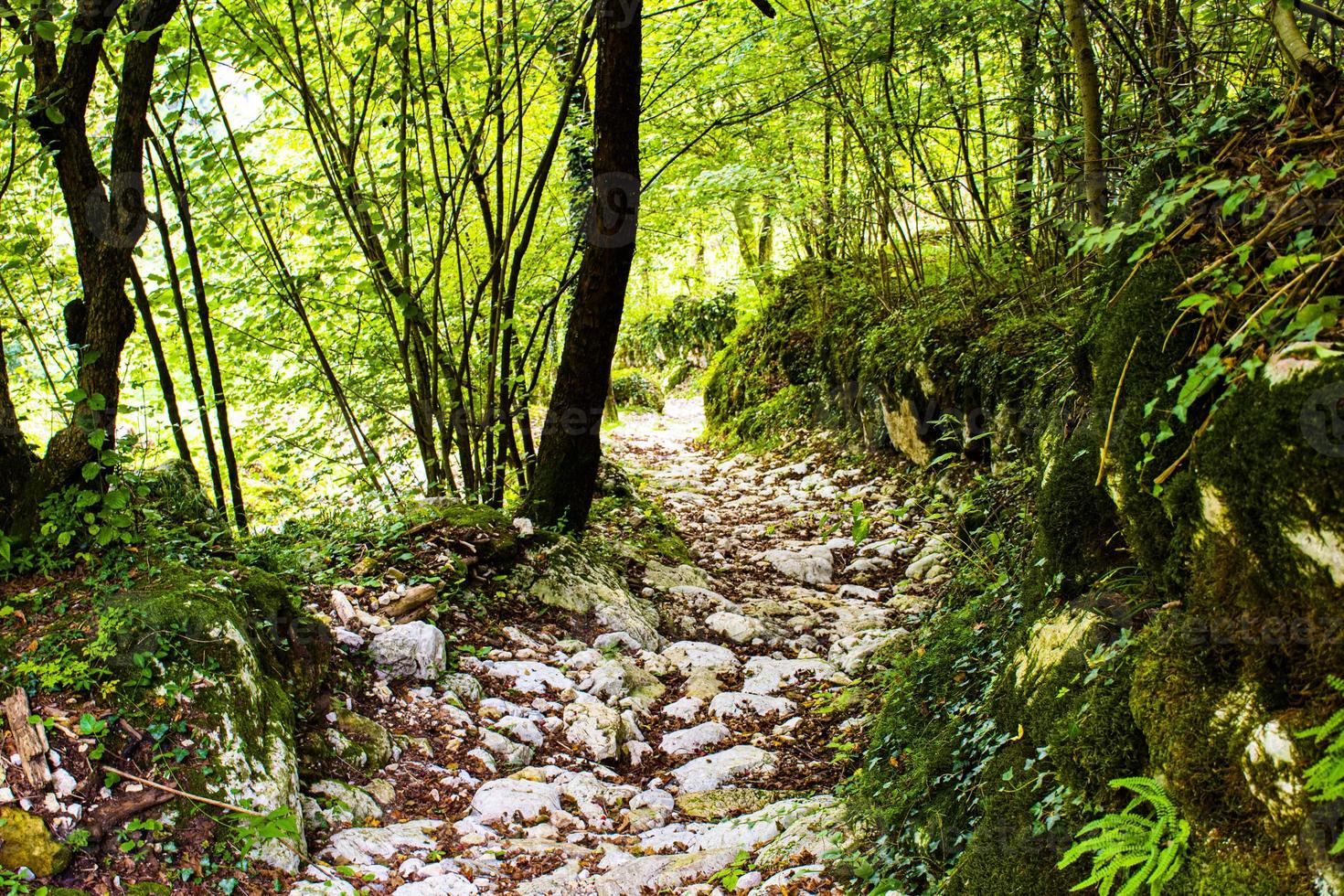 caminho alpino com pedras foto