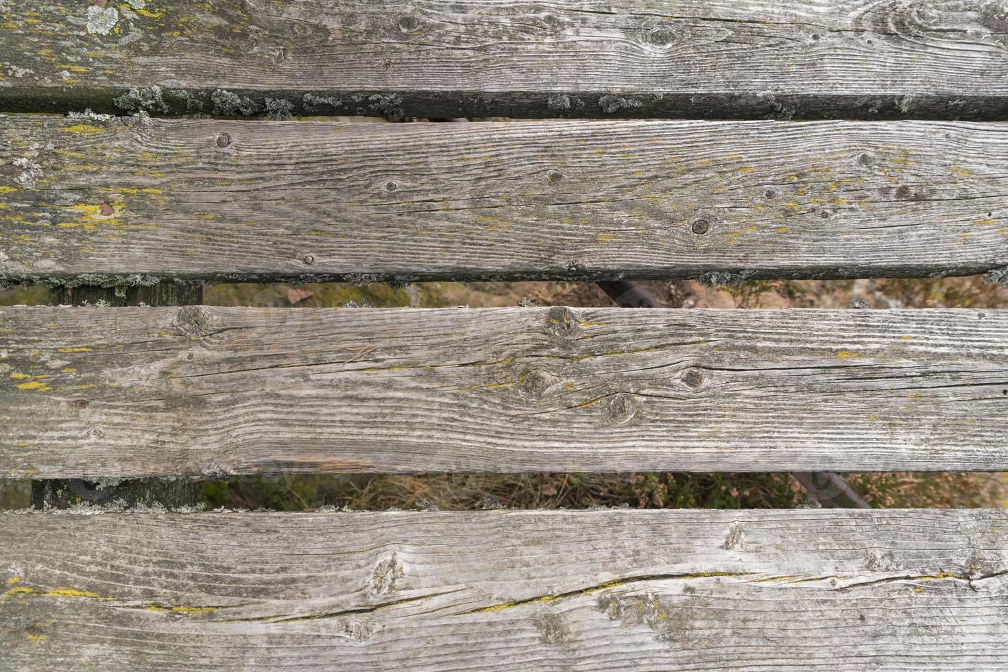 velhas tábuas de madeira podres cobertas de musgo foto