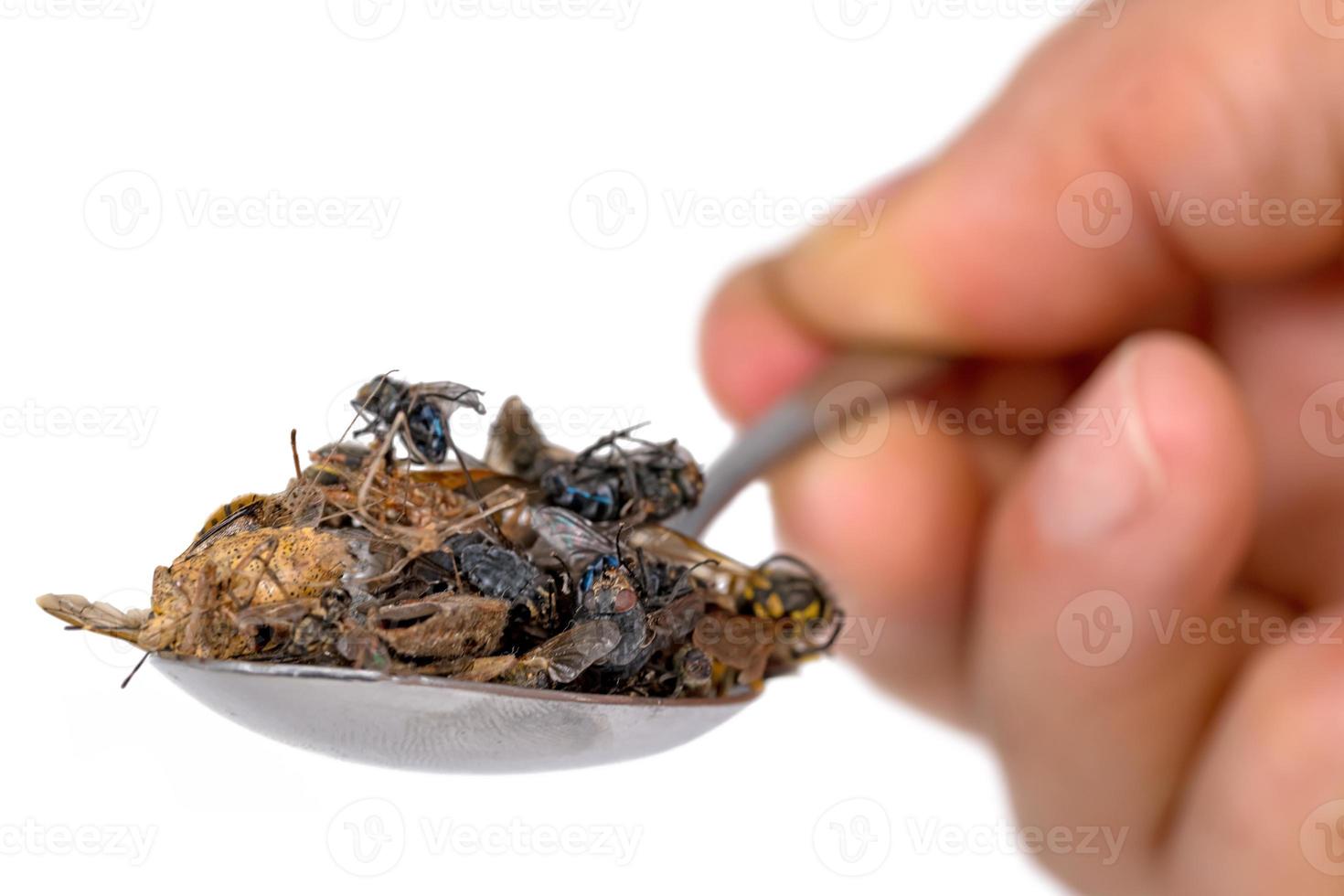 muitos insetos mortos repousam em uma colher de sopa segura na mão isolada foto