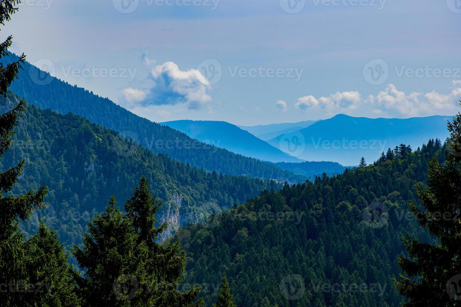 árvores e vales em lagorai foto