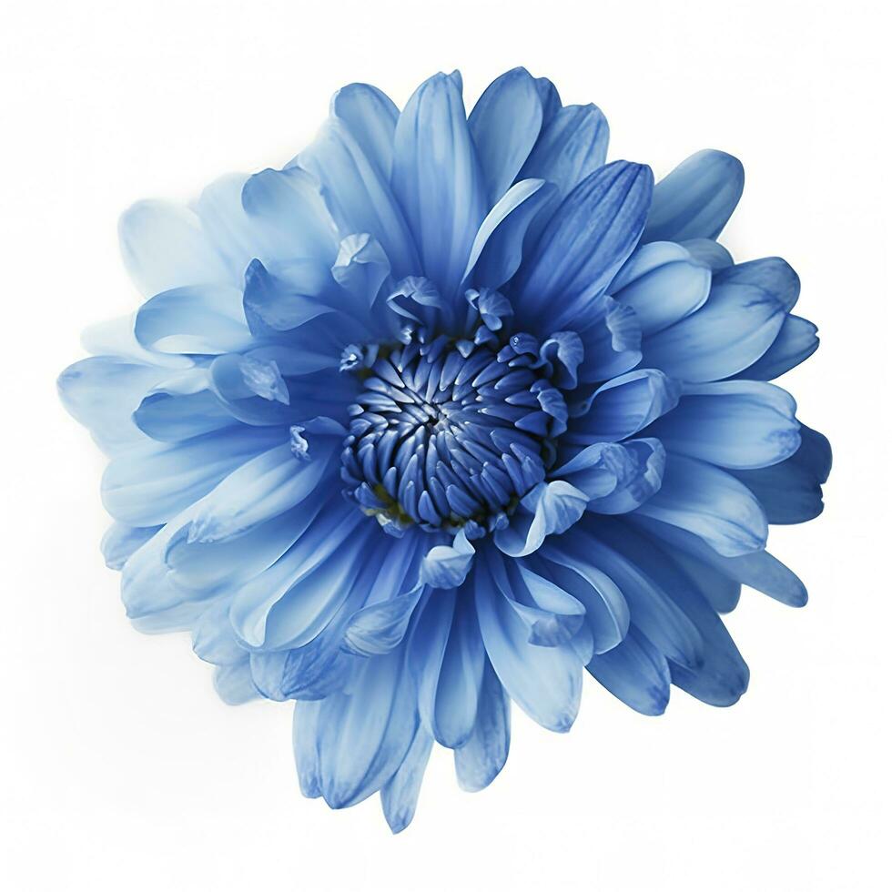 azul flor isolado em branco fundo, png com transparência , gerar ai foto