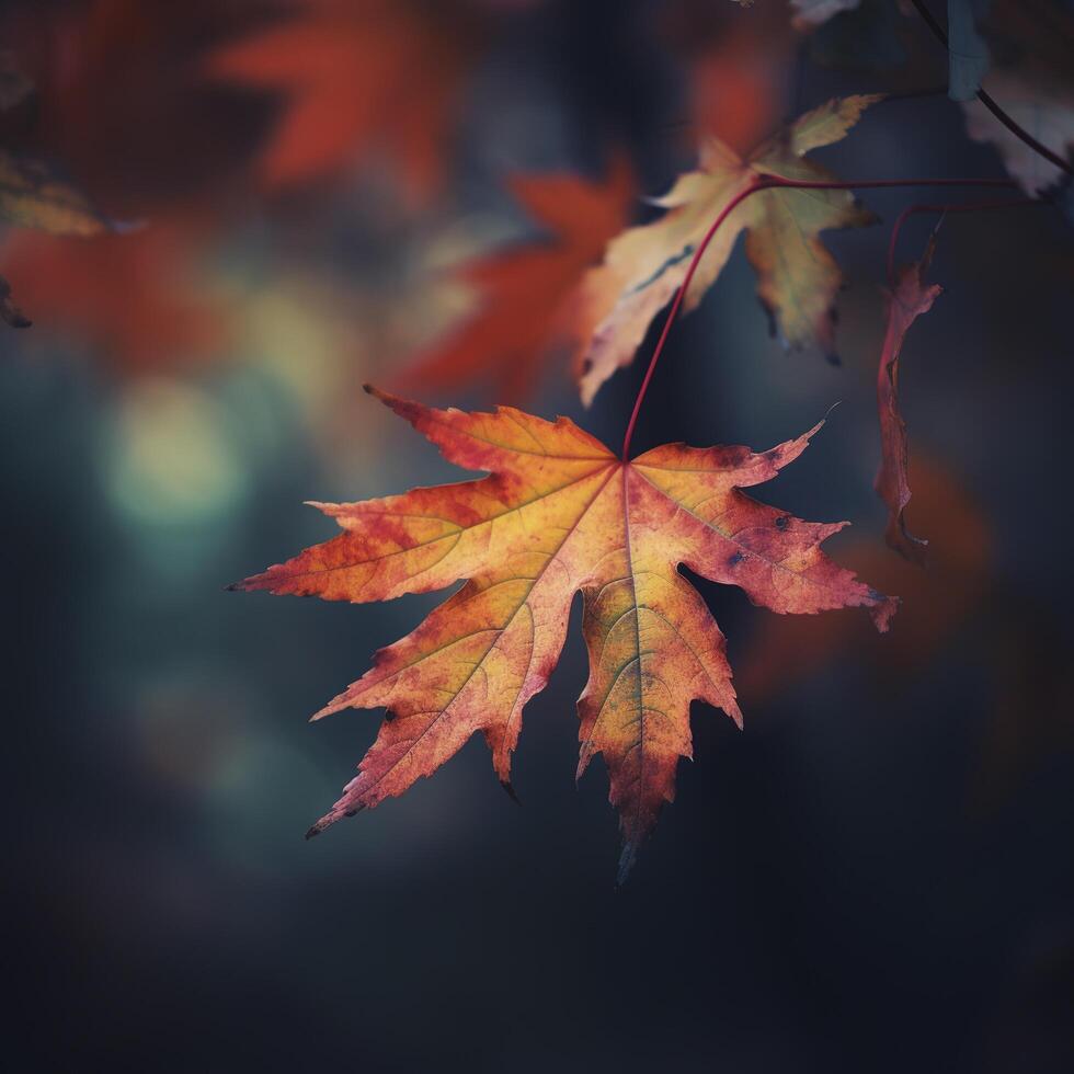 outono bordo folhas dentro uma linha, vívido cores, ai generativo panorama ilustração em Preto fundo foto