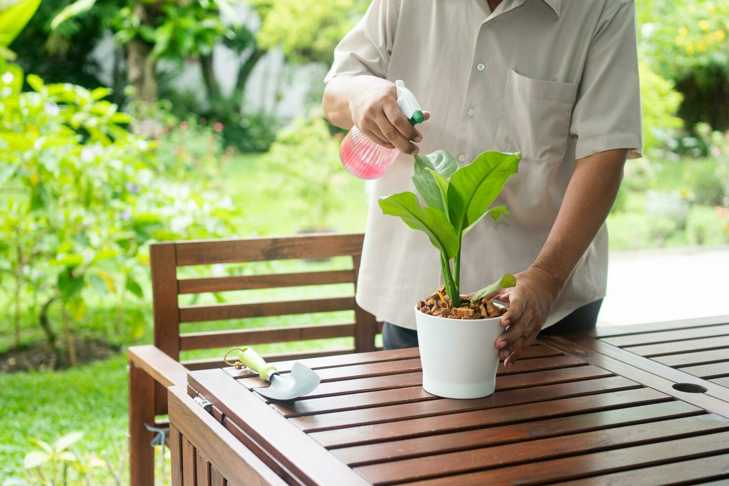 um idoso asiático feliz e sorridente está plantando para um hobby após a aposentadoria em uma casa. conceito de um estilo de vida feliz e boa saúde para idosos. foto