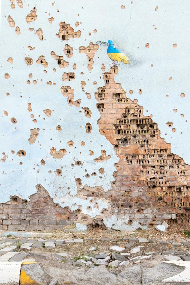 descascado parede com uma desenhando do uma pomba dentro a cores do a bandeira do Ucrânia, azul e amarelo. a pomba é uma símbolo do pureza, luz, paz, amor, a humano alma. Ucrânia, Kyiv - pode 06, 2023. foto