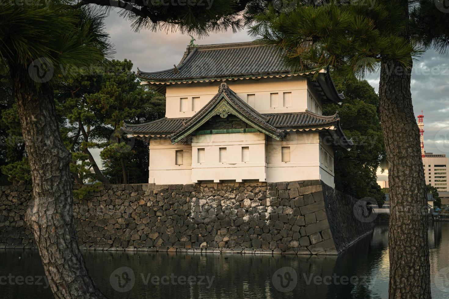castelo edo em tokyo, japão no inverno foto