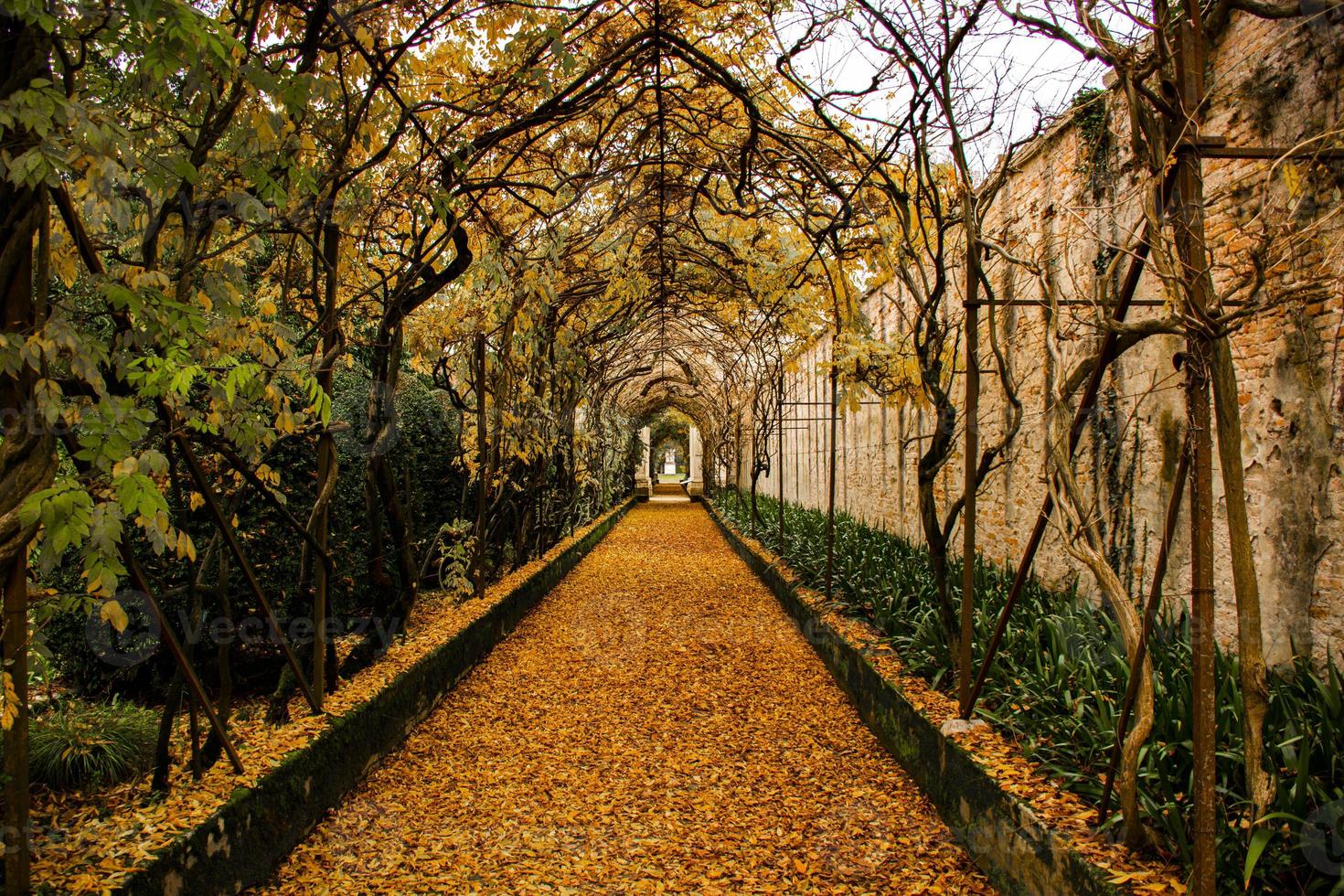 arquitetura do século XIX na villa pisani em stra veneza, veneto, itália foto