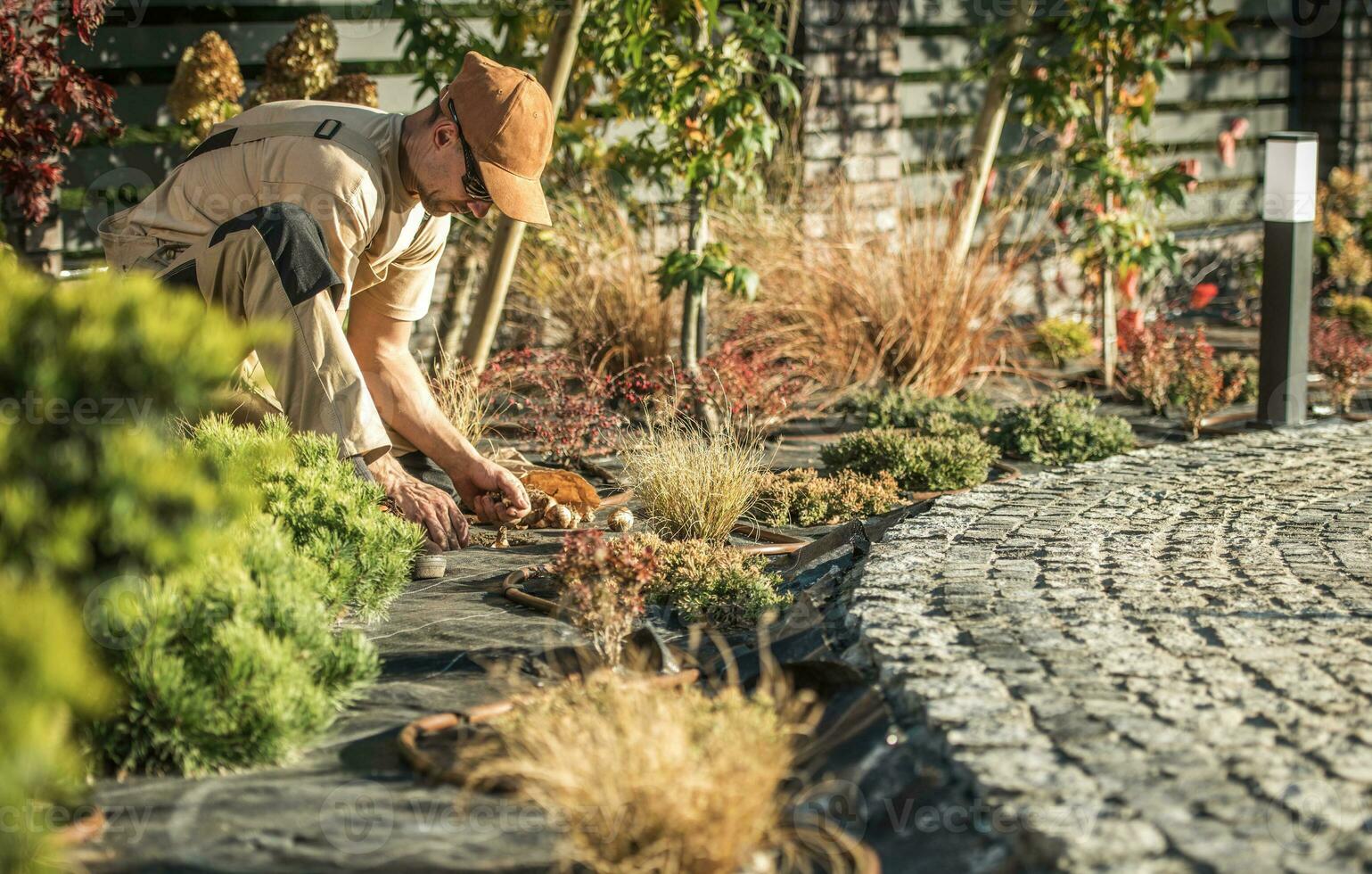 homem plantio flor lâmpadas dentro jardim dentro primavera. foto