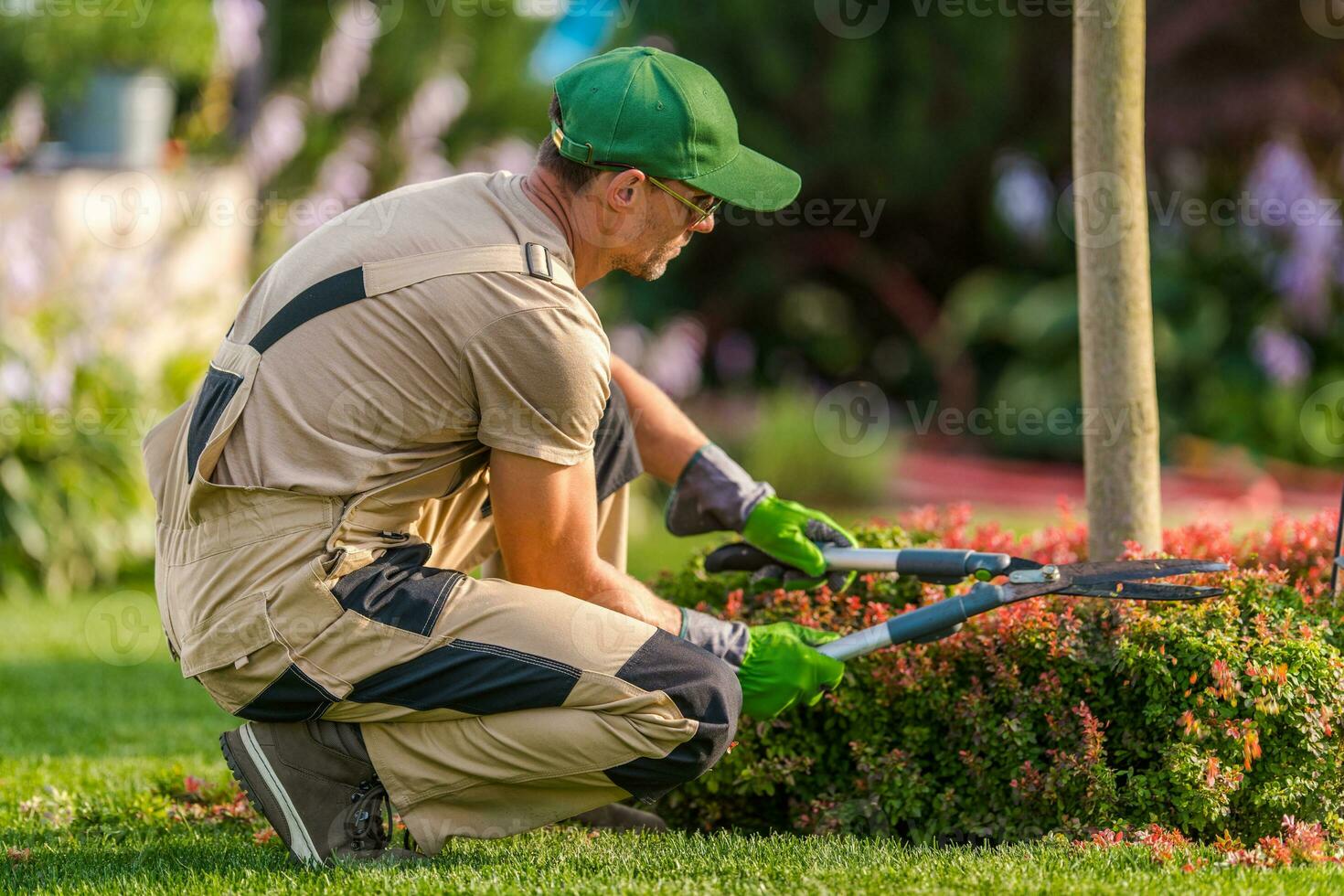 profissional jardineiro realizando plantar aparar foto