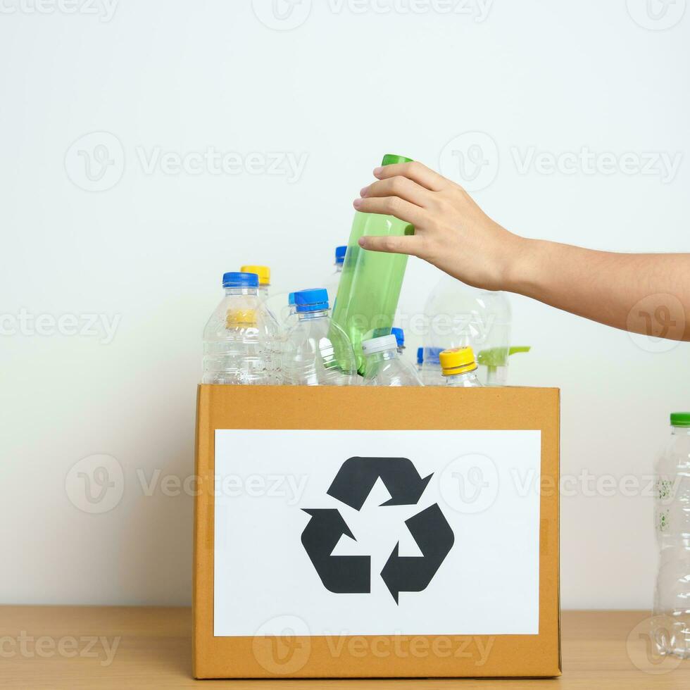 voluntário manter plástico garrafa para dentro papel caixa às casa ou escritório. mão Ordenação reciclar lixo. ecologia, ambiental, poluição, dispor reciclando, desperdício gestão e Lixo separação conceito foto