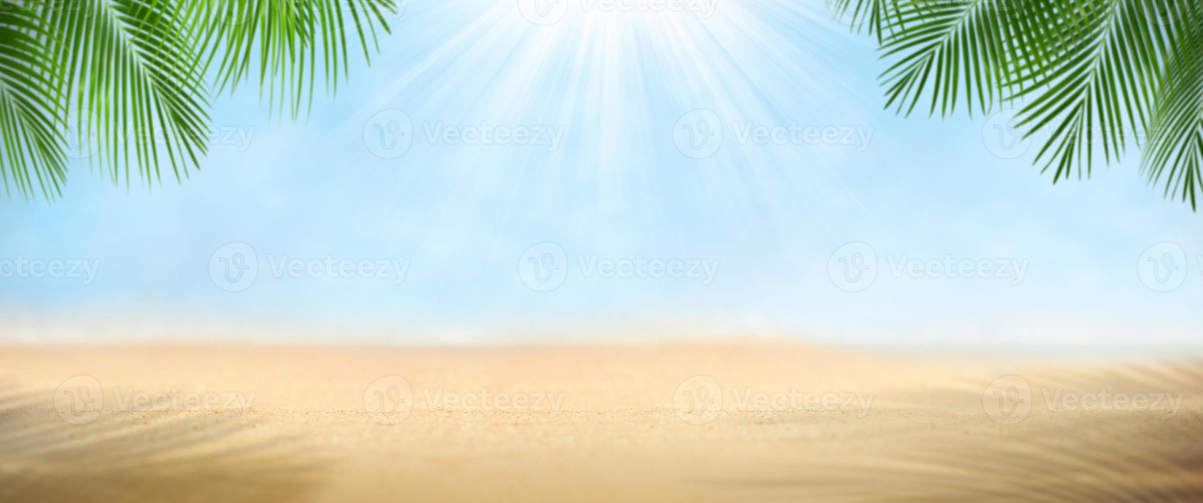 folhas de palmeira na praia foto