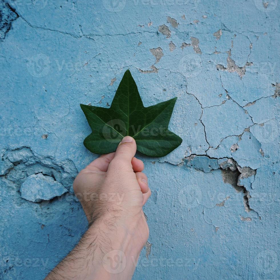 mão com folhas verdes sentindo a natureza foto