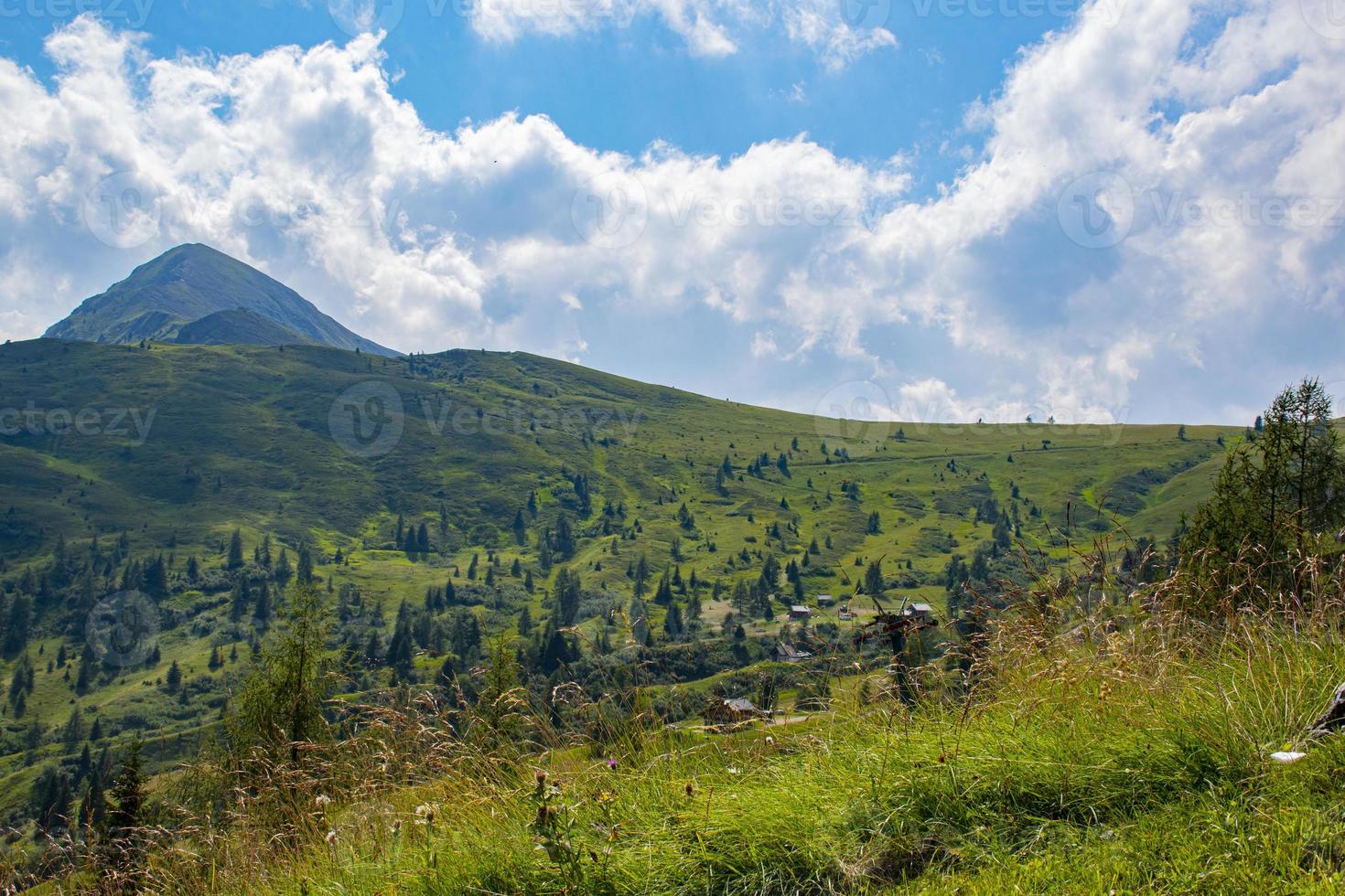 pastagem nas dolomitas foto