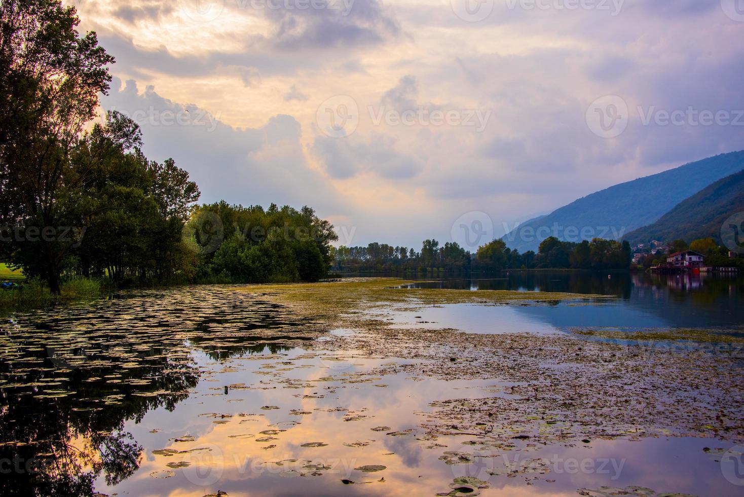 reflexos no lago com nenúfares foto