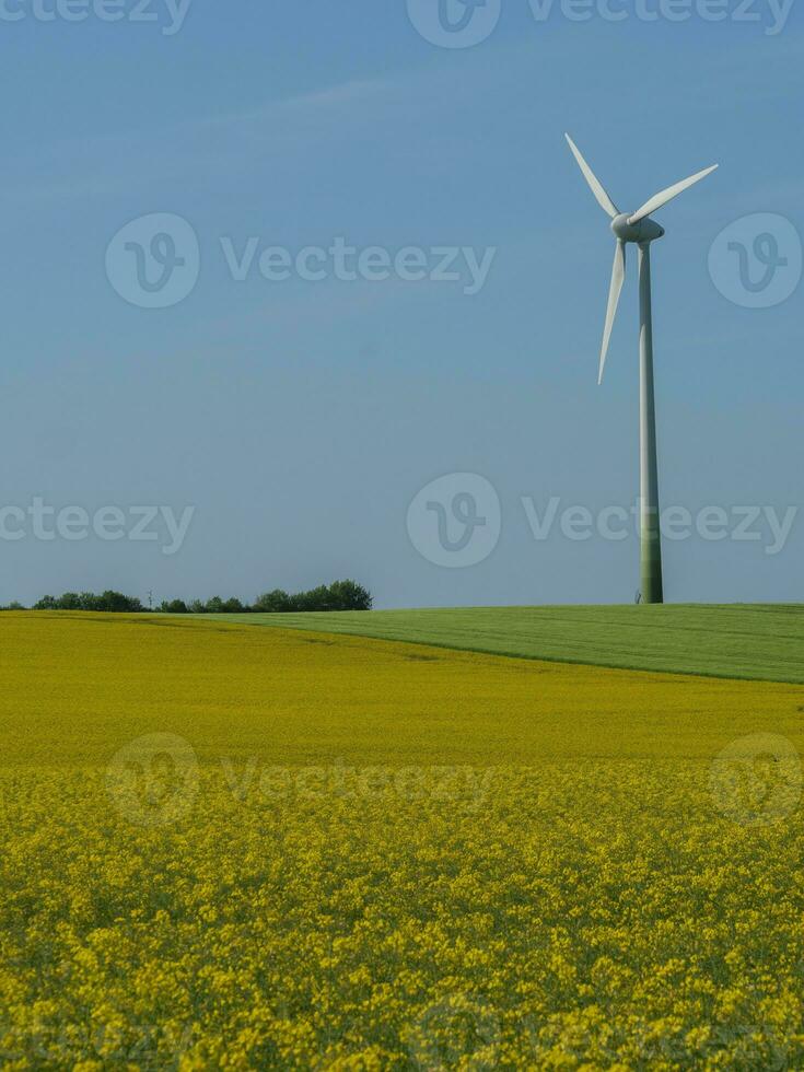 primavera na Vestfália foto