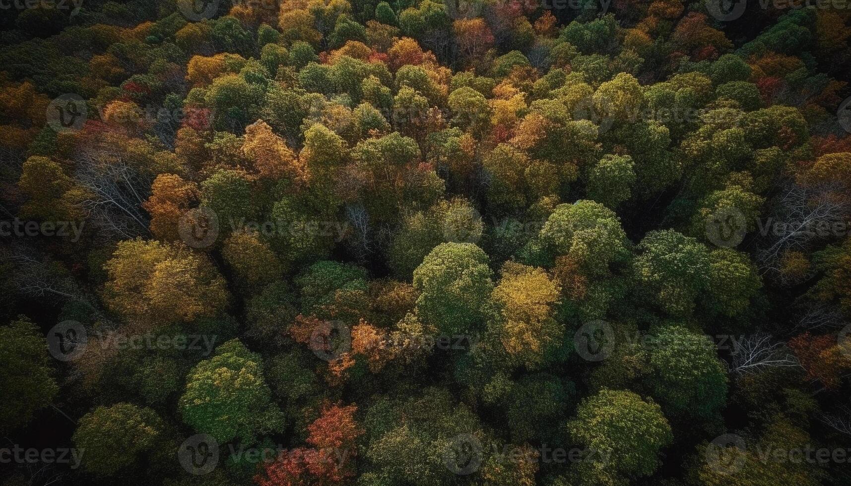 vibrante outono folhagem tintas tranquilo floresta panorama dentro multi cor beleza gerado de ai foto