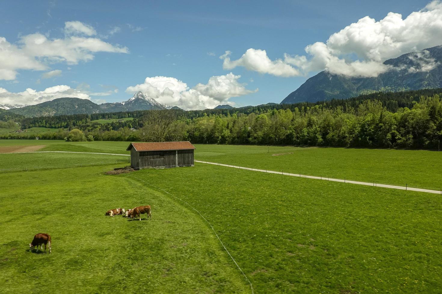 Alpes austríacos com prado verde foto