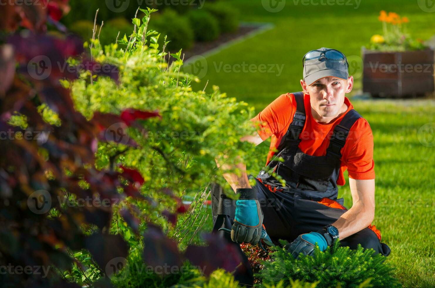 a jardim desenhador foto