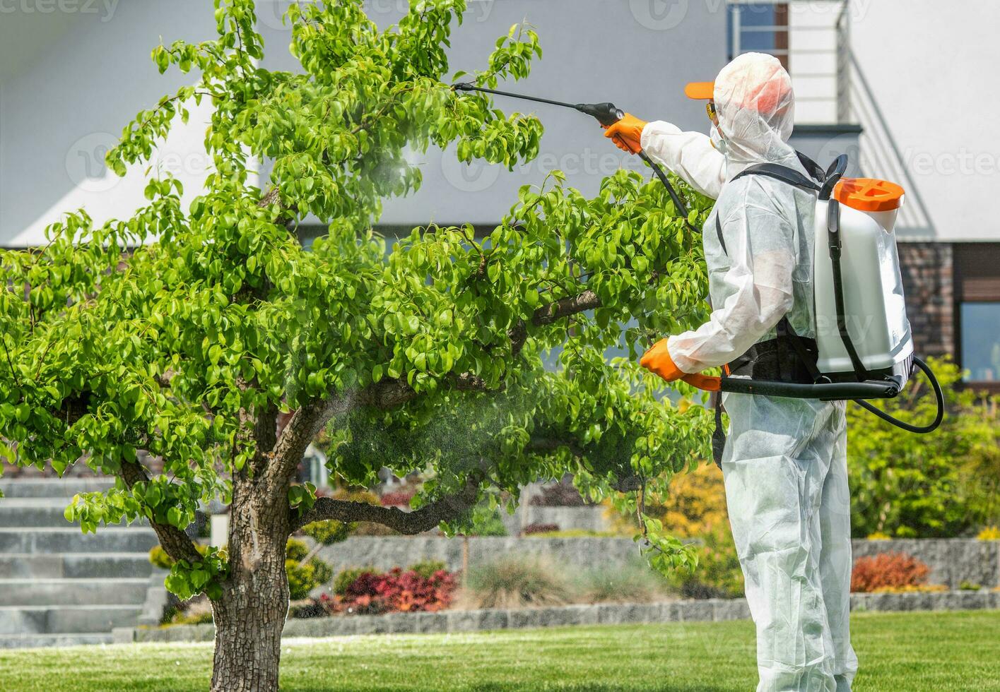 seguro pesticida inscrição realizado de profissional jardineiro foto