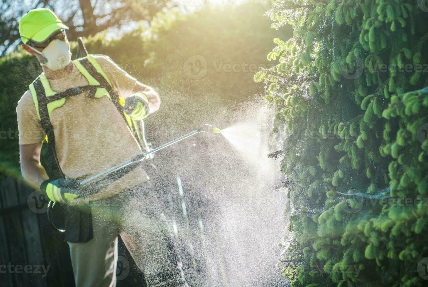 pesticida plantas pulverização foto