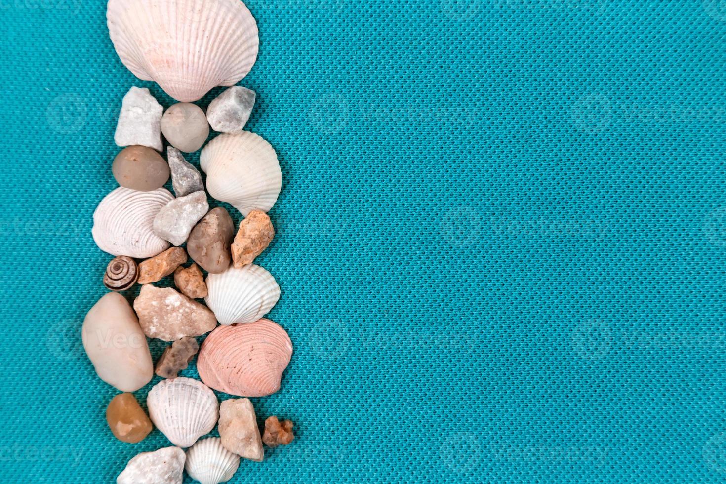 conchas do mar dispostas em um fundo azul aqua moderno foto