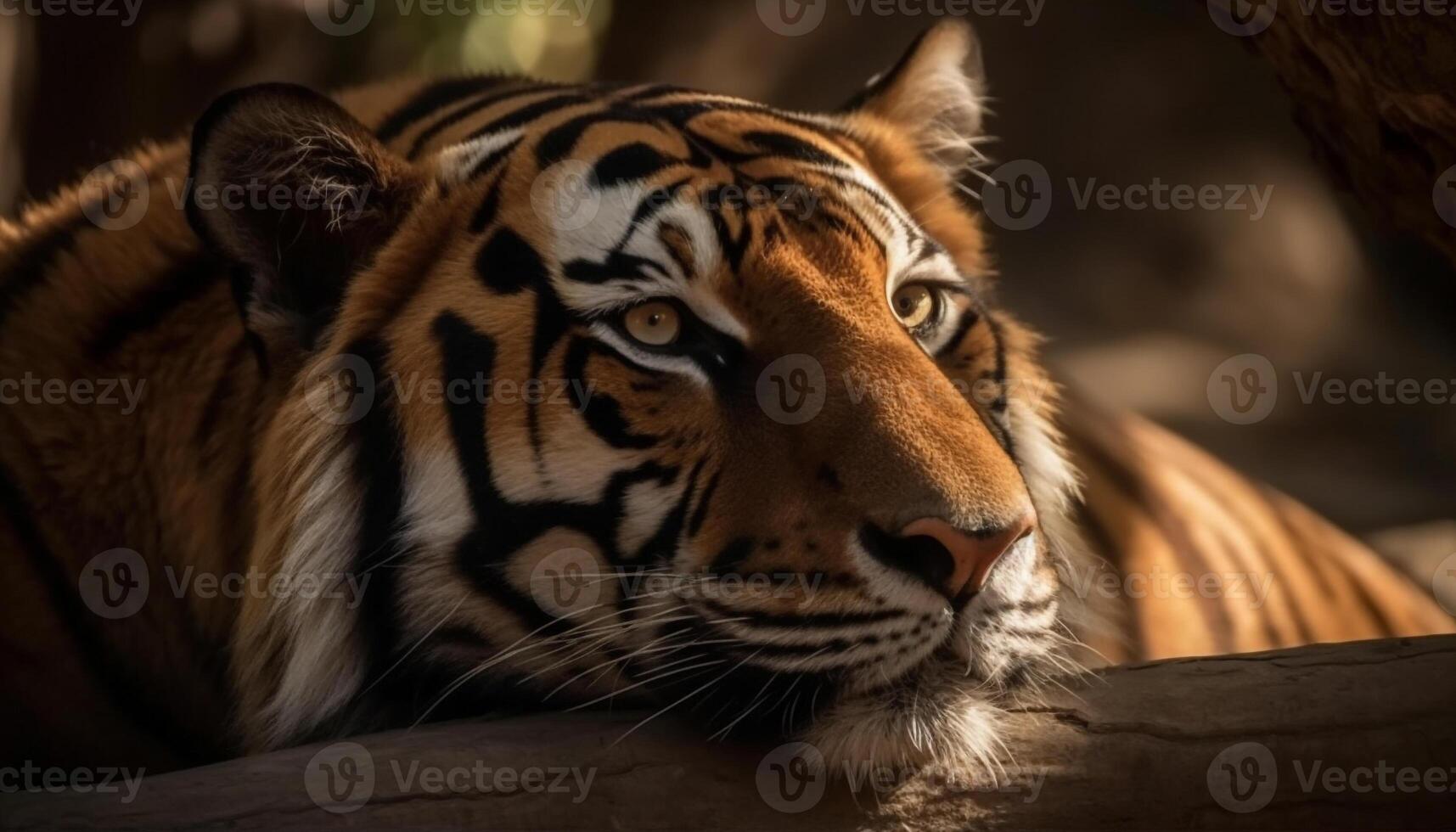 majestoso Bengala tigre encarando com agressão, beleza dentro natureza tranquilidade gerado de ai foto