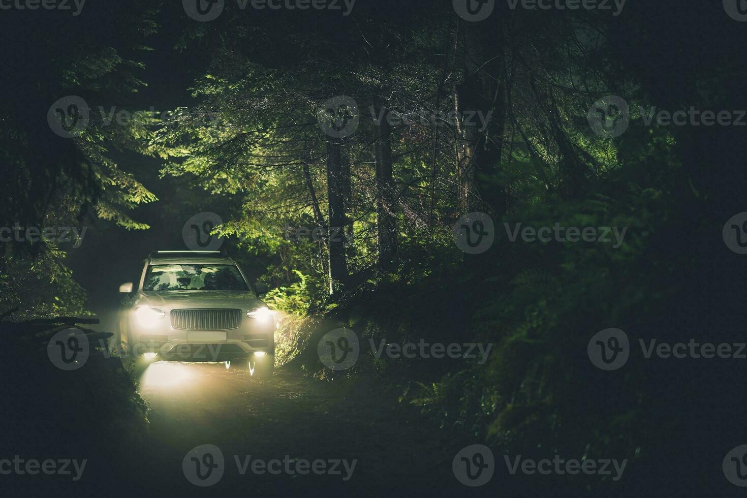 noite dirigir cocho a floresta foto
