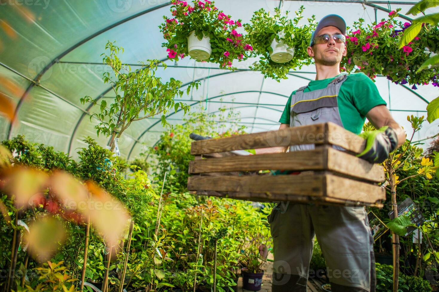 jardineiro estufa trabalhos foto