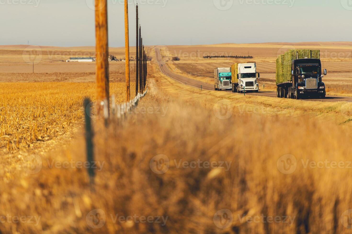 semi caminhões em uma rodovia foto