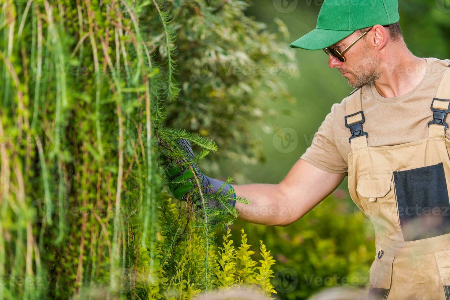 profissional jardineiro realizando plantar inspeção foto