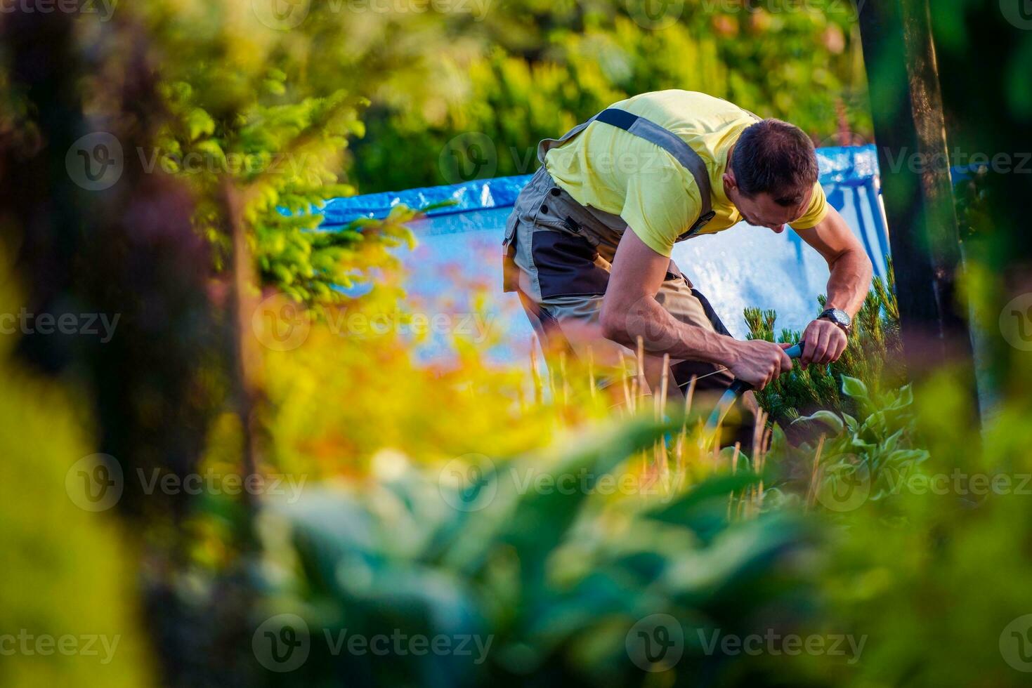 homens trabalhando dentro dele jardim foto